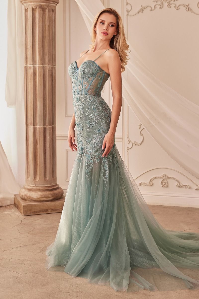 FIT & FLARE EMBELLSIHED GOWN CDA1232-0